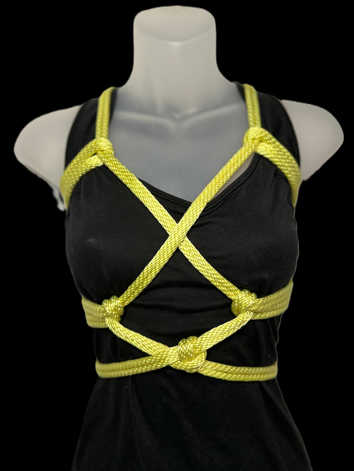 Harnesses & Hitches, A Guided Rope Lab in Las Vegas, NV on Saturday June 20 @ 5:00pm PST