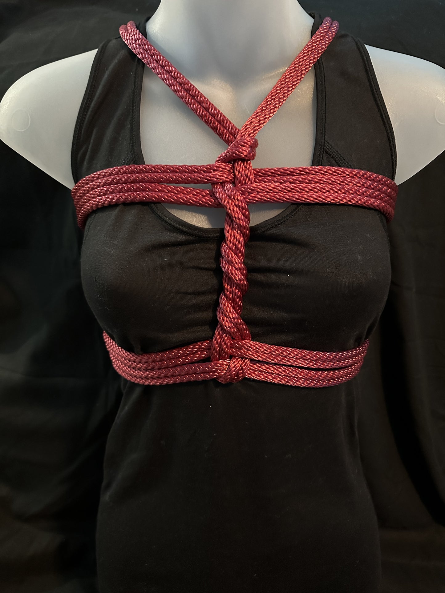 In-Person Educational Rope Workshop in Las Vegas, NV on Saturday TBD @ 5:00pm PST