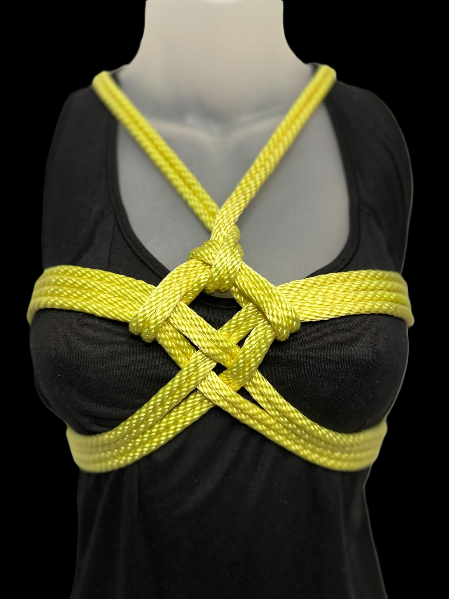 In-Person Educational Rope Workshop in Las Vegas, NV on Saturday TBD @ 5:00pm PST